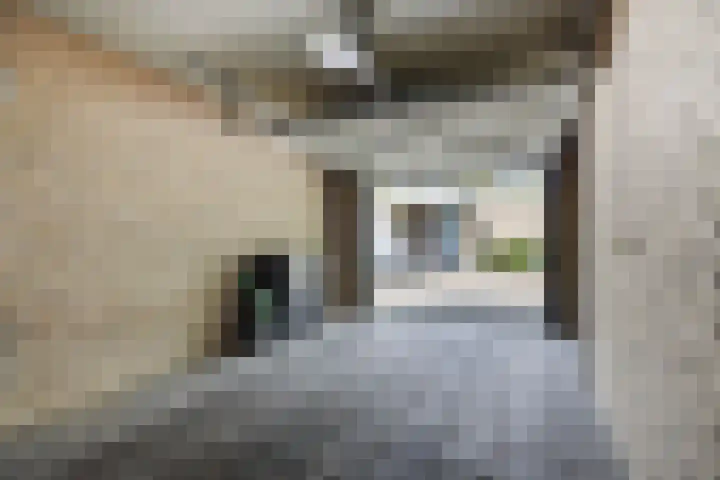 Gezellehof 50 Oss thumbnail 13