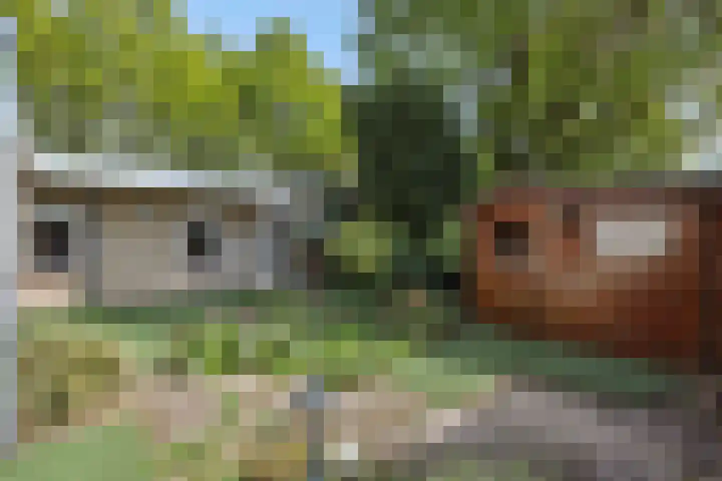Gezellehof 50 Oss thumbnail 16