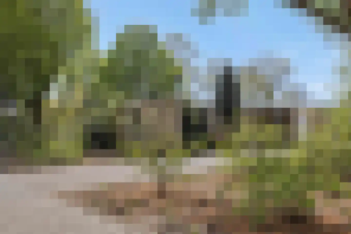 Gezellehof 50 Oss thumbnail 32