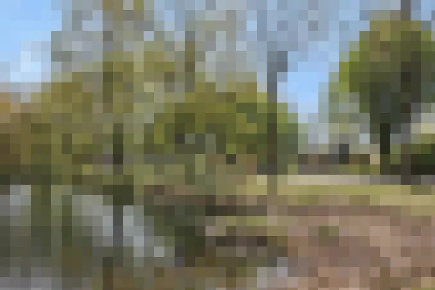 Gezellehof 50 Oss thumbnail 34