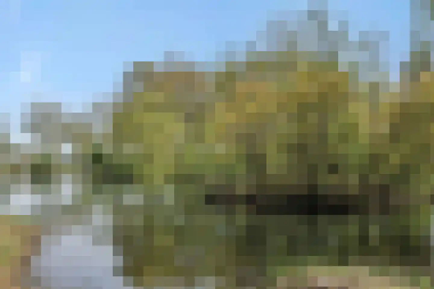 Gezellehof 50 Oss thumbnail 35