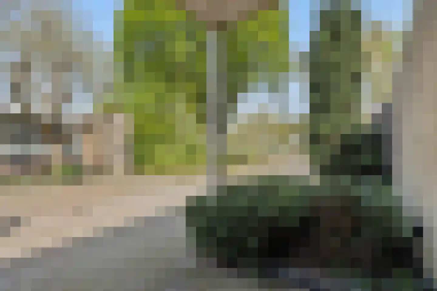 Gezellehof 50 Oss thumbnail 6