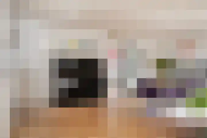Gezellehof 90 Oss thumbnail 15
