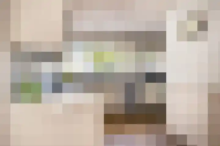 Gezellehof 90 Oss thumbnail 18