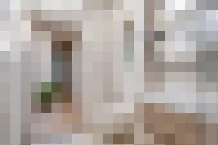 Gezellehof 90 Oss thumbnail 29