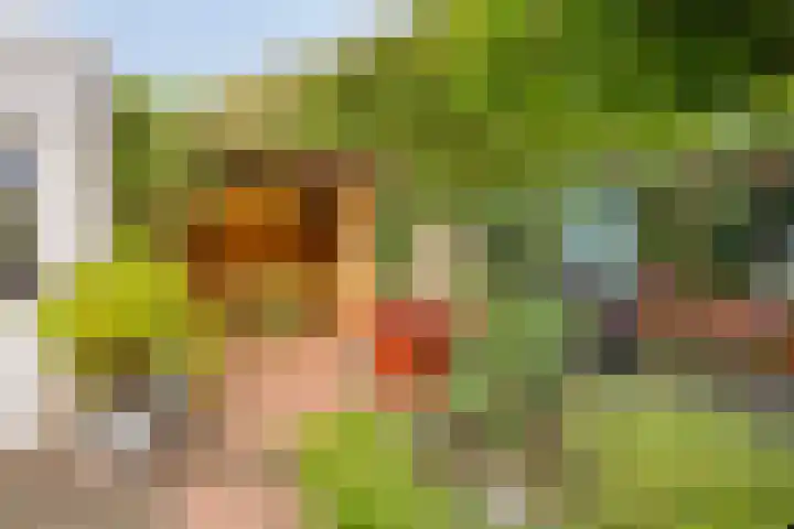 Gezellehof 90 Oss thumbnail 37