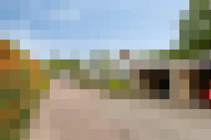 Gezellehof 90 Oss thumbnail 39