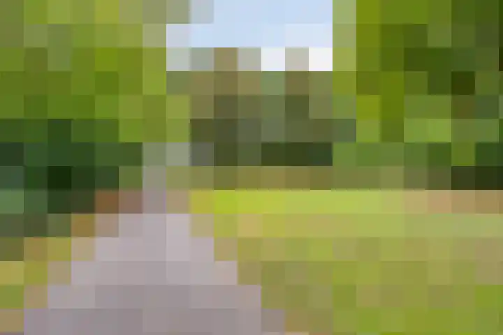 Gezellehof 90 Oss thumbnail 40