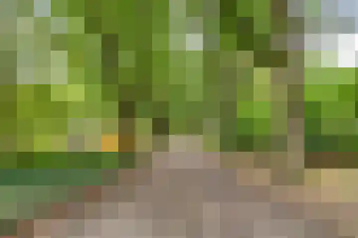 Gezellehof 90 Oss thumbnail 41