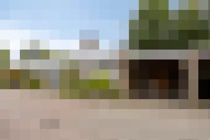 Gezellehof 90 Oss thumbnail 7