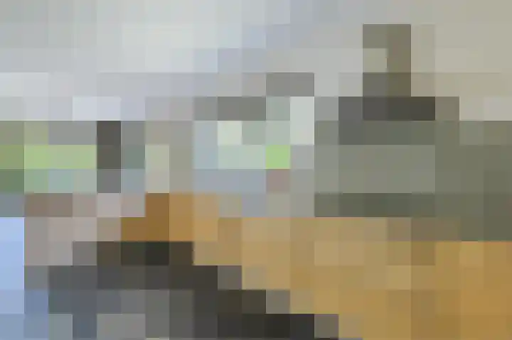 Gezellelaan 2 Groningen thumbnail 38