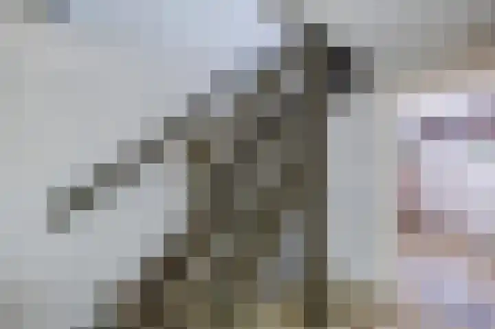 Gezellelaan 2 Groningen thumbnail 46