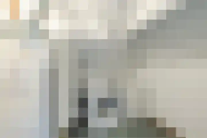 Gezellelaan 2 Groningen thumbnail 66