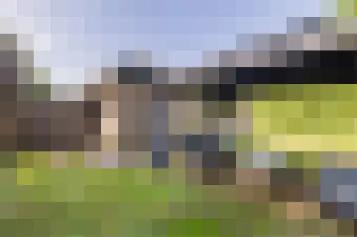 Gezellelaan 2 Groningen thumbnail 72