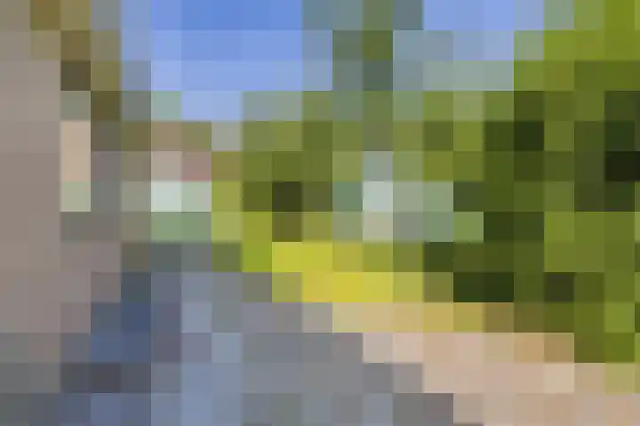 Gezellelaan 2 Groningen thumbnail 73