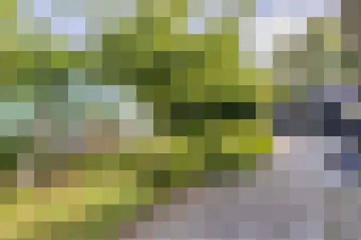 Gezellelaan 2 Groningen thumbnail 76