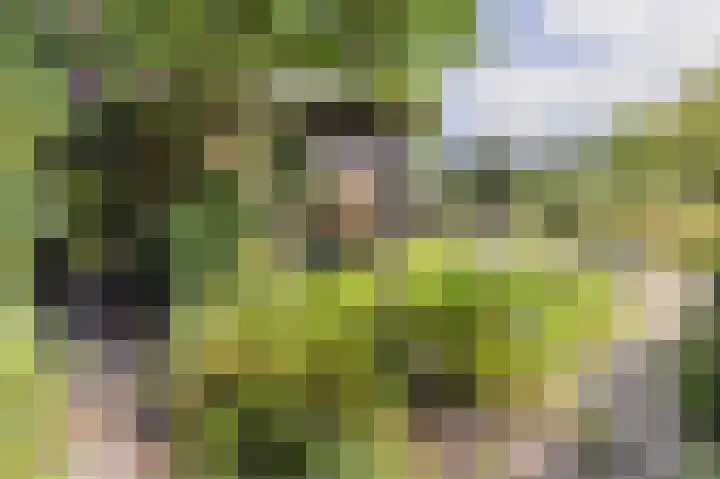 Gezellelaan 2 Groningen thumbnail 79