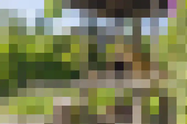 Gezellelaan 2 Groningen thumbnail 80