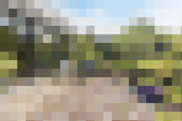 Gezellelaan 2 Groningen thumbnail 82