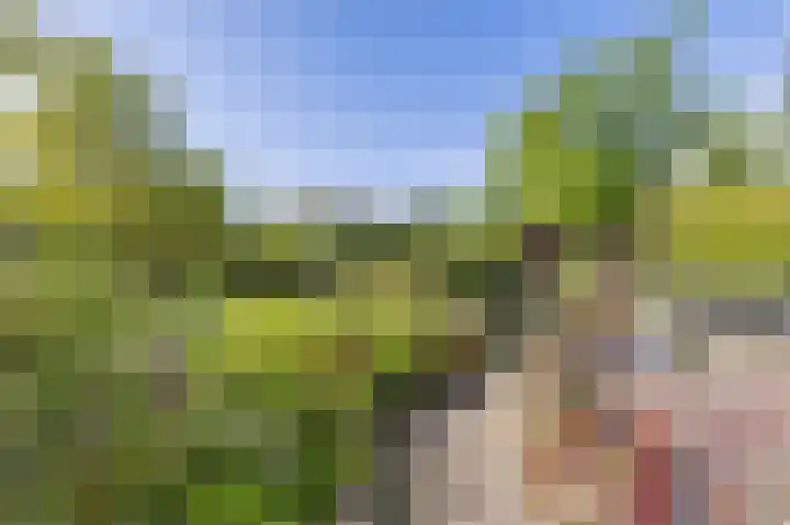 Gezellelaan 2 Groningen thumbnail 85