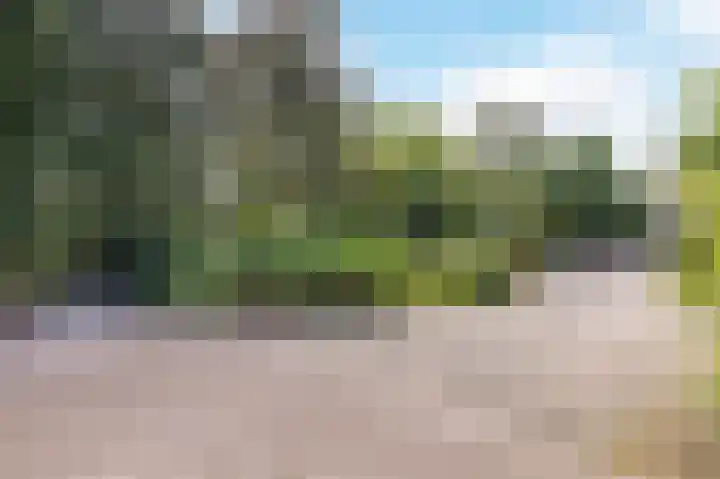 Gezellelaan 2 Groningen thumbnail 9