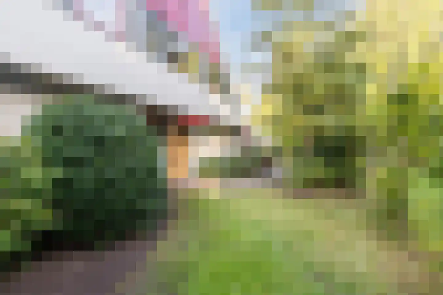 Gezellelaan 9 Groningen thumbnail 13