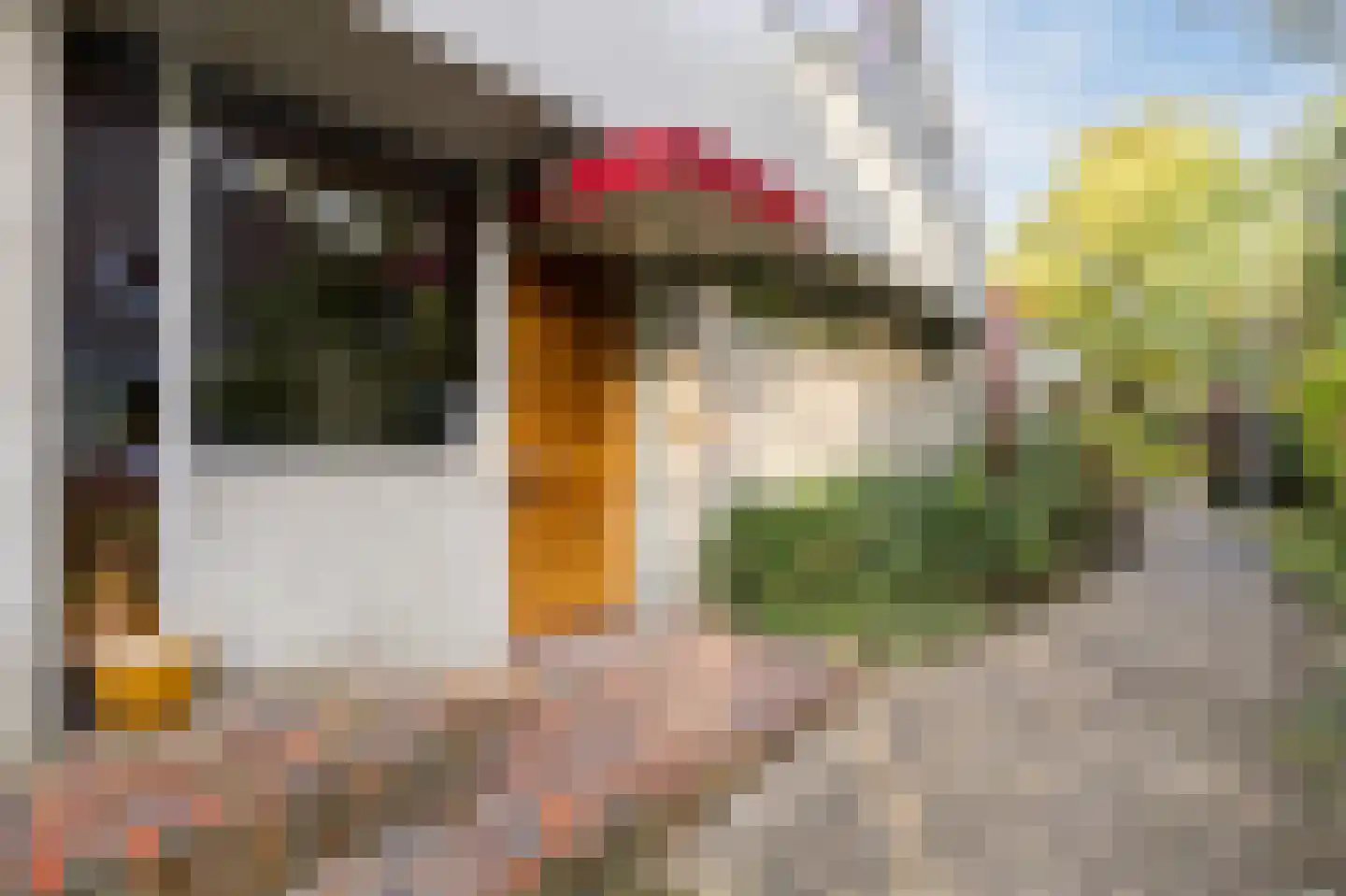 Gezellelaan 9 Groningen thumbnail 14