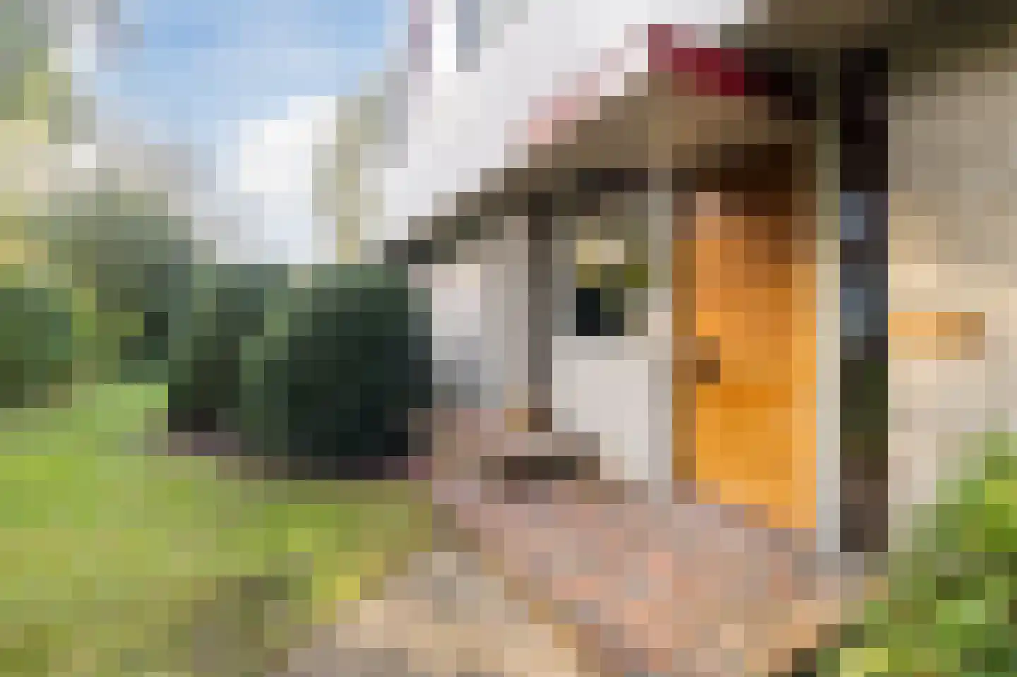 Gezellelaan 9 Groningen thumbnail 15