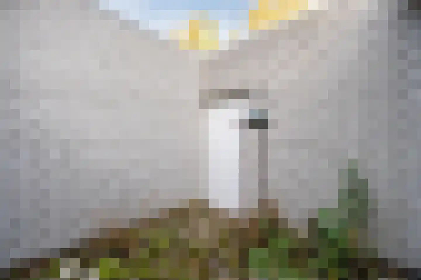 Gezellelaan 9 Groningen thumbnail 40