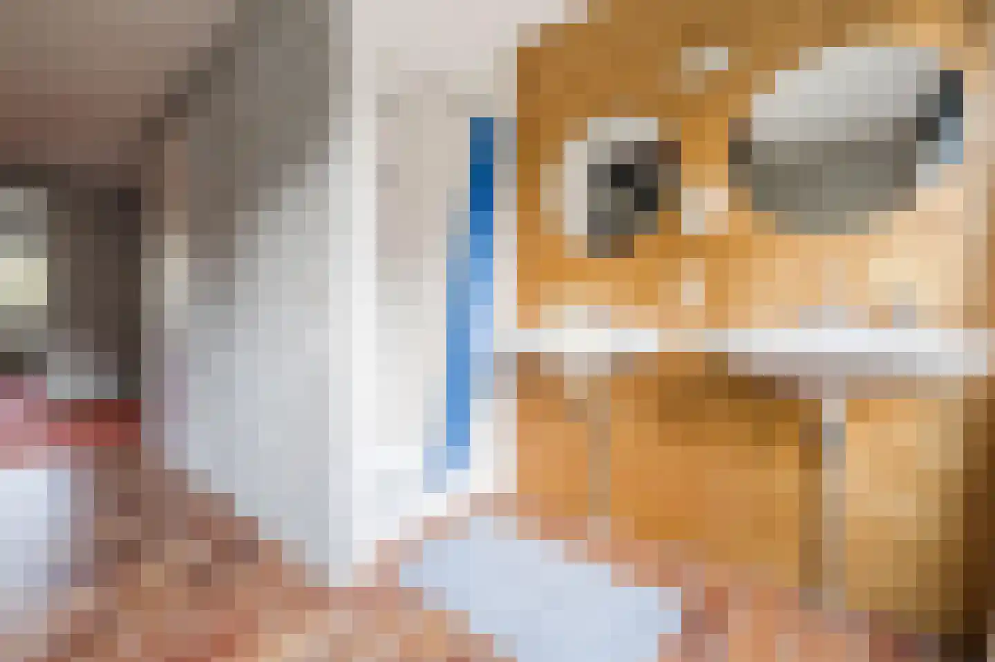 Gezellelaan 9 Groningen thumbnail 61