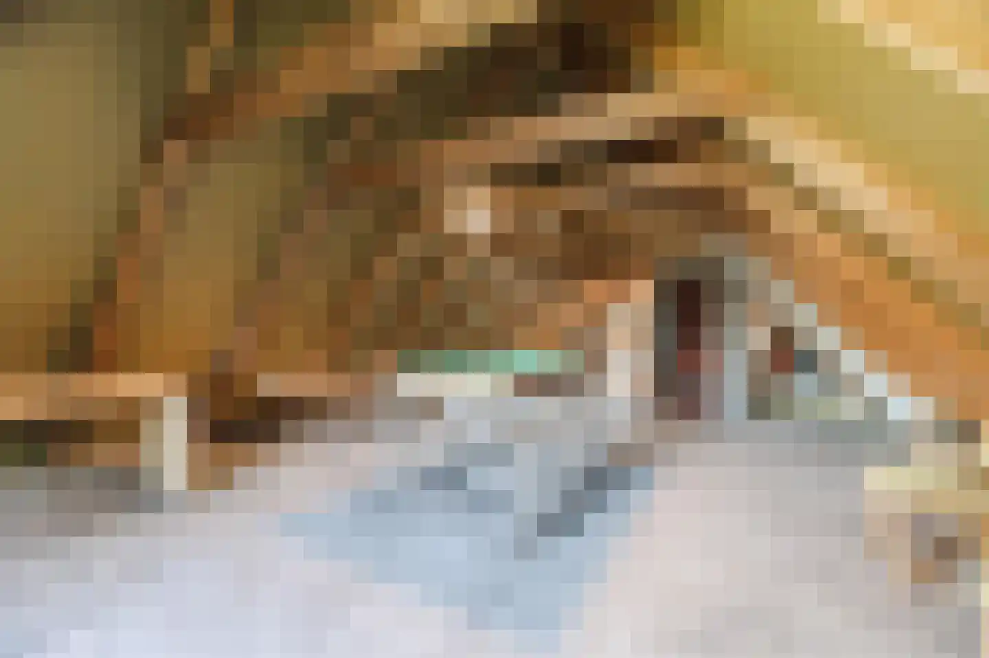 Gezellelaan 9 Groningen thumbnail 67