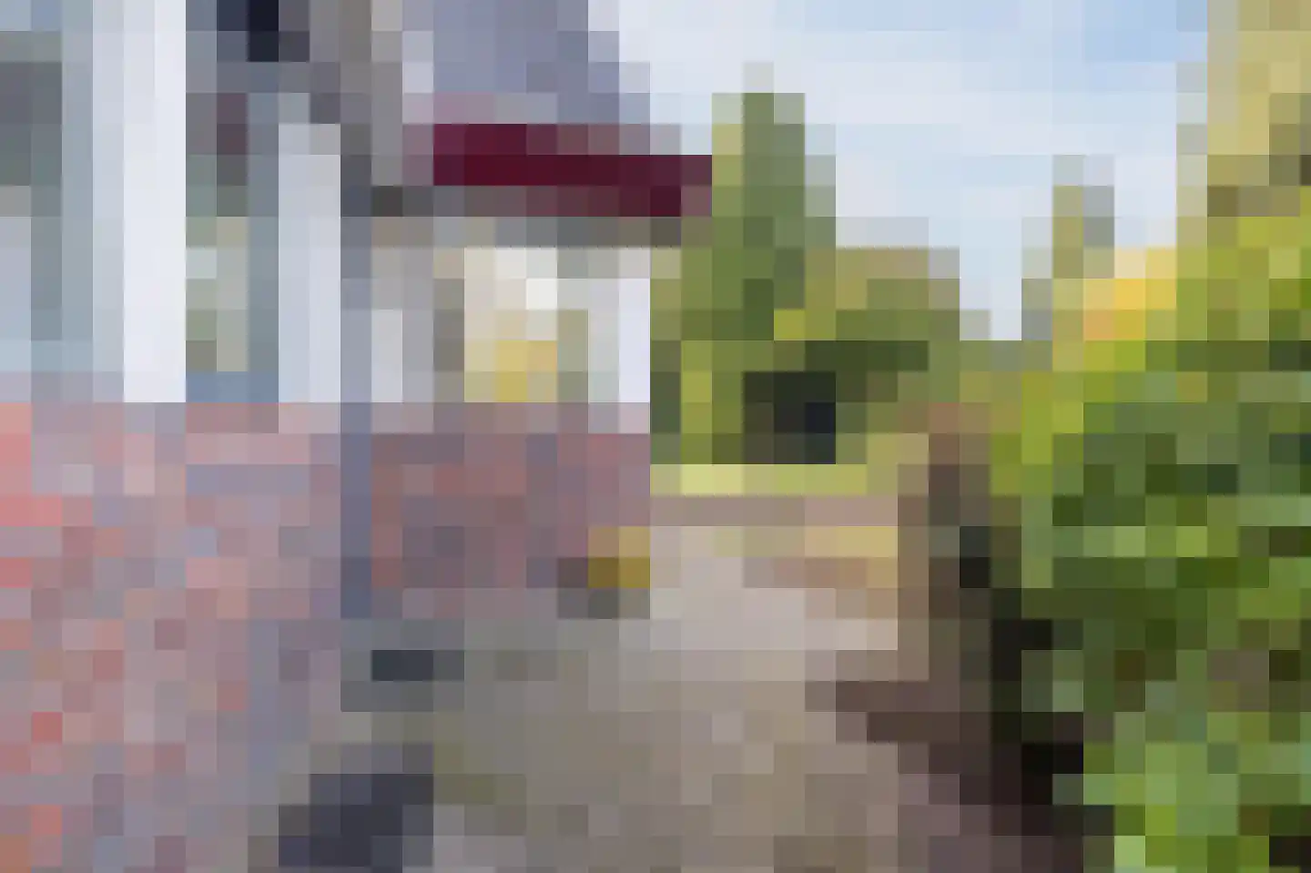 Gezellelaan 9 Groningen thumbnail 72