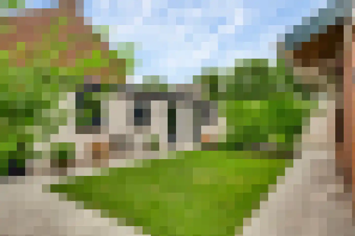 Gezellenstraat 9 Weert thumbnail 50