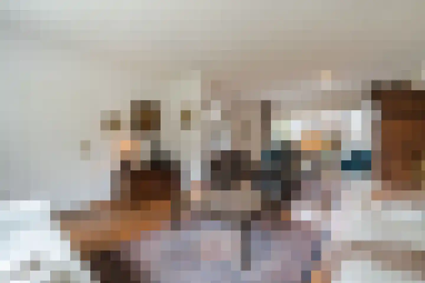 Gezellestraat 17 Gemert thumbnail 11
