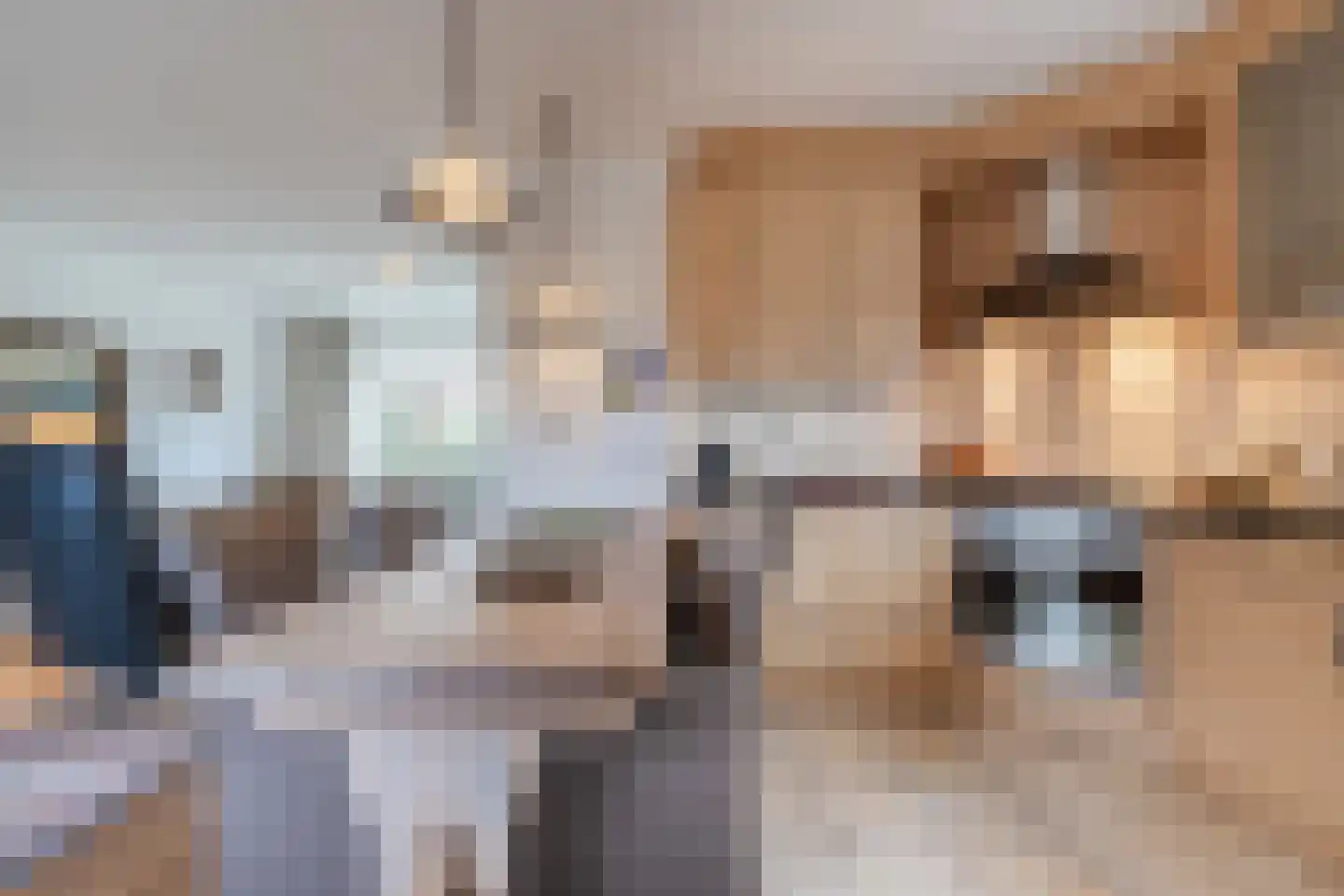 Gezellestraat 17 Gemert thumbnail 15