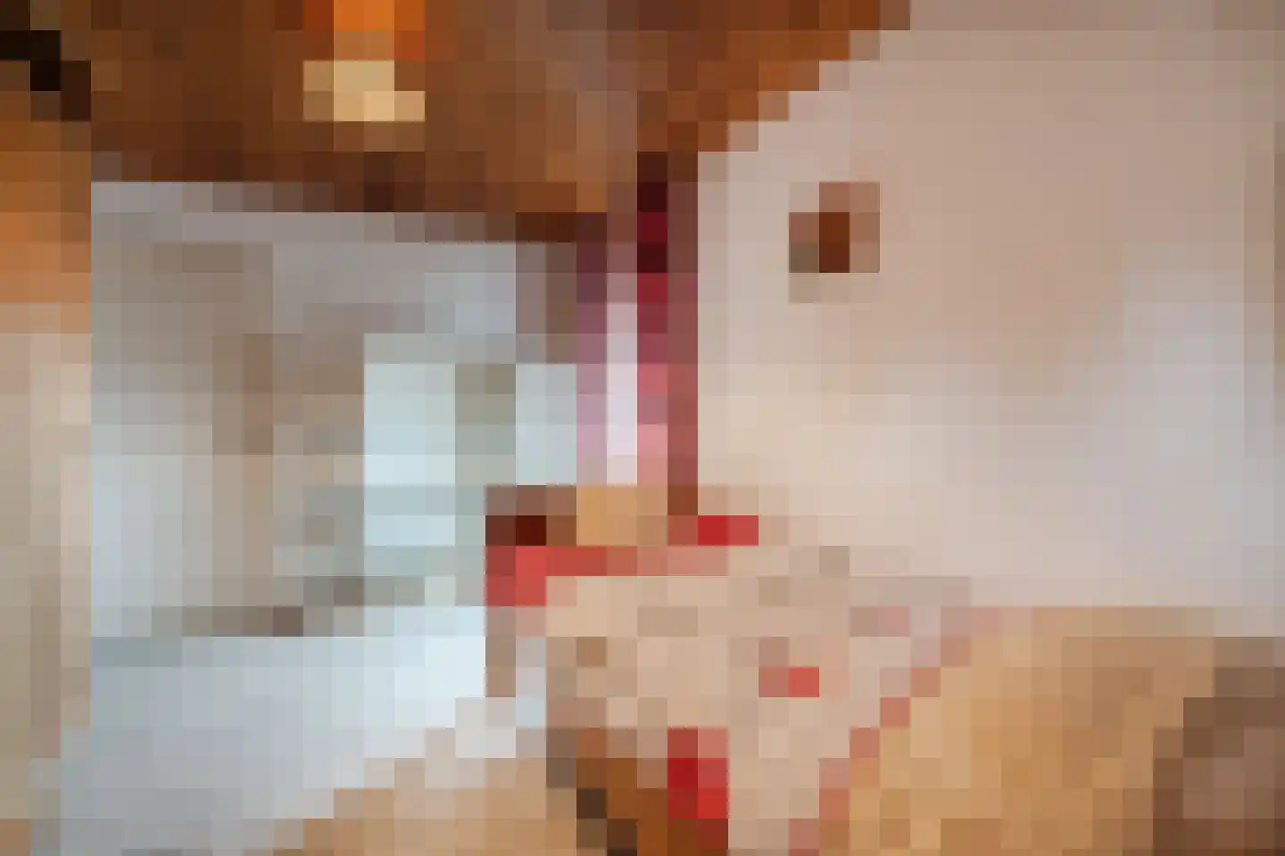 Gezellestraat 17 Gemert thumbnail 22