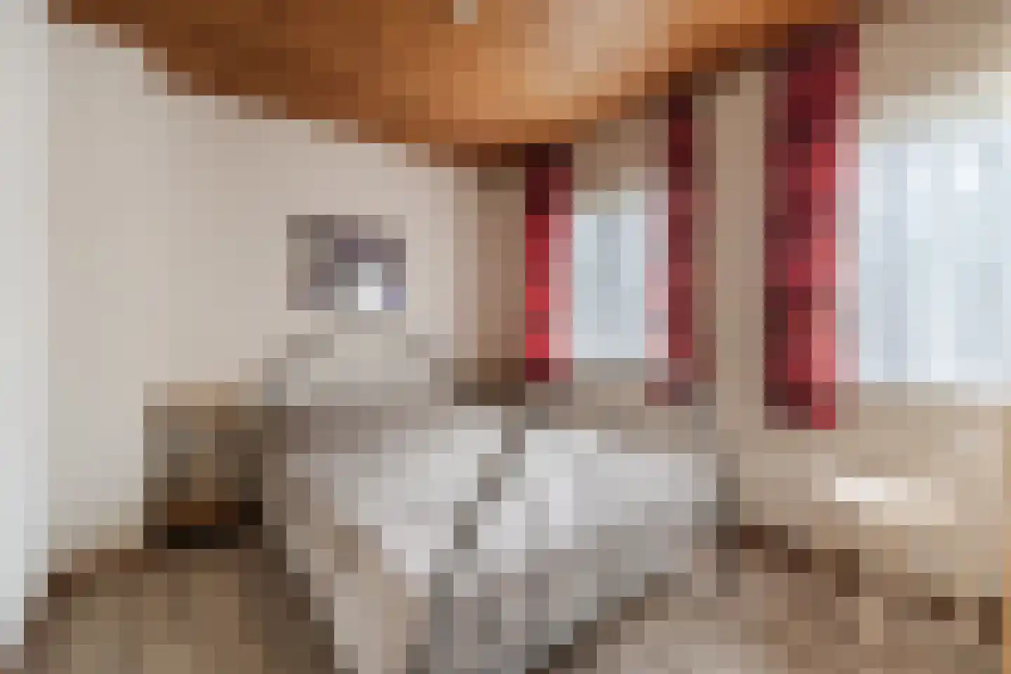 Gezellestraat 17 Gemert thumbnail 26