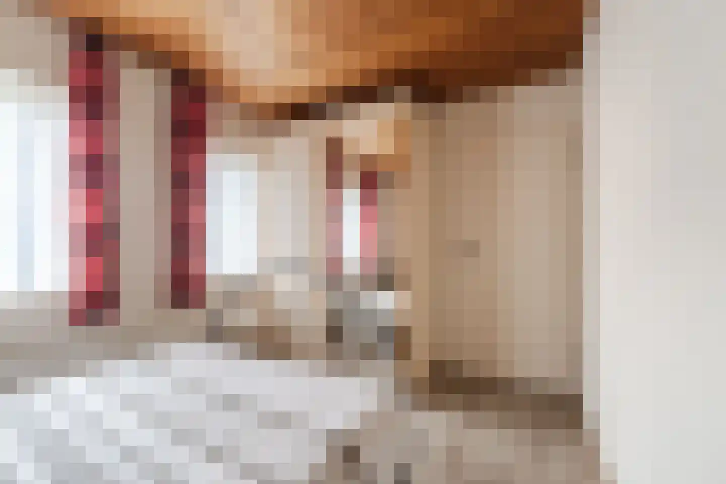 Gezellestraat 17 Gemert thumbnail 27