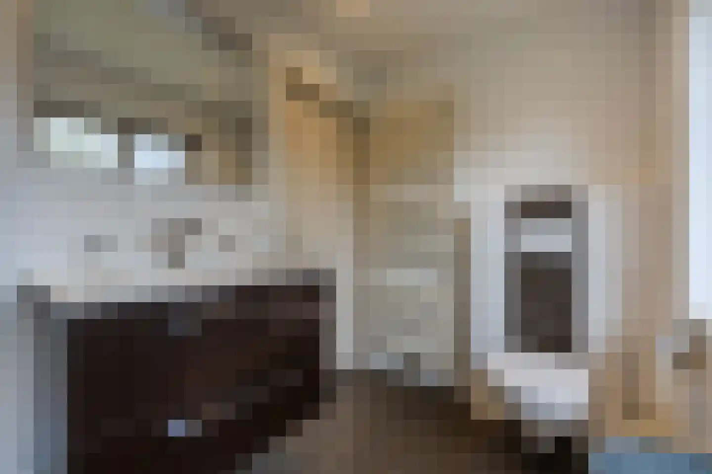 Gezellestraat 17 Gemert thumbnail 28