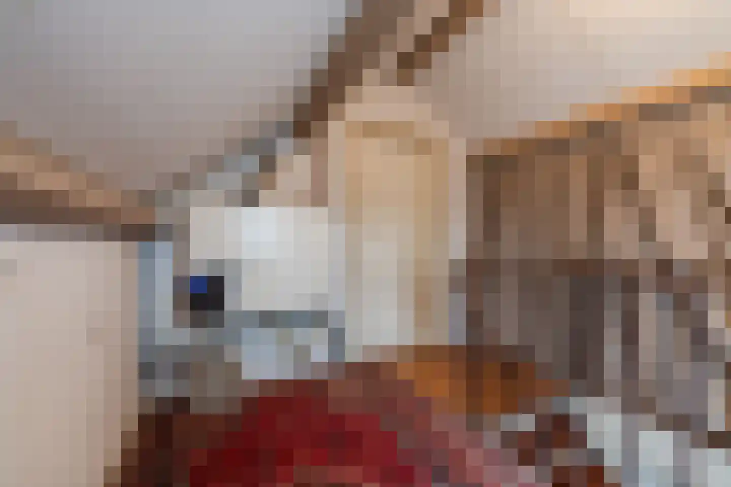 Gezellestraat 17 Gemert thumbnail 33
