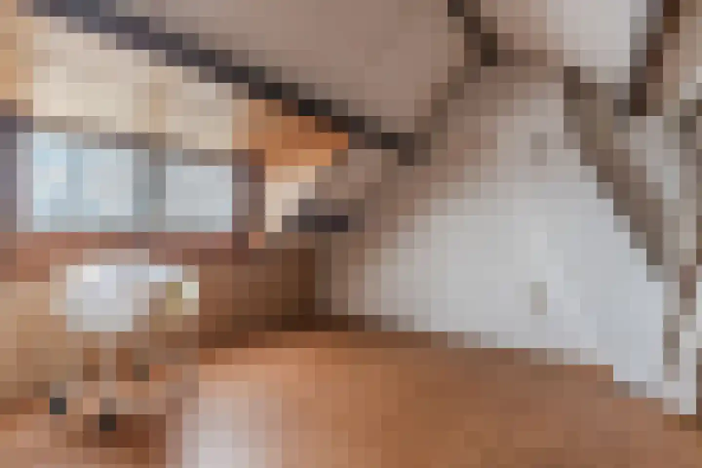 Gezellestraat 17 Gemert thumbnail 36