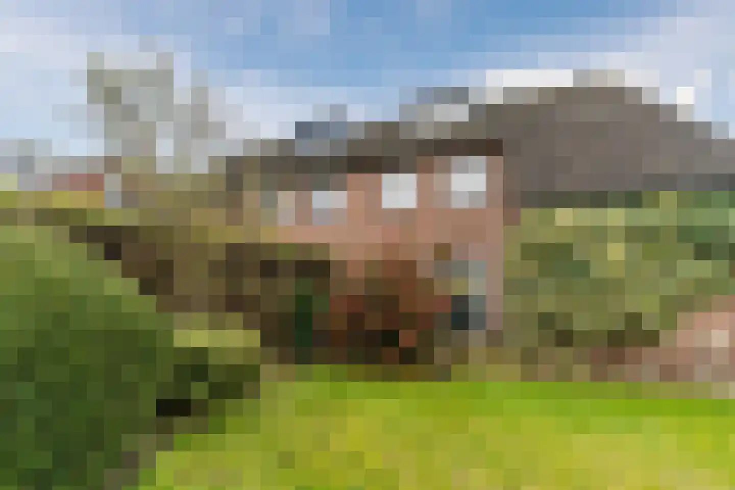 Gezellestraat 17 Gemert thumbnail 38