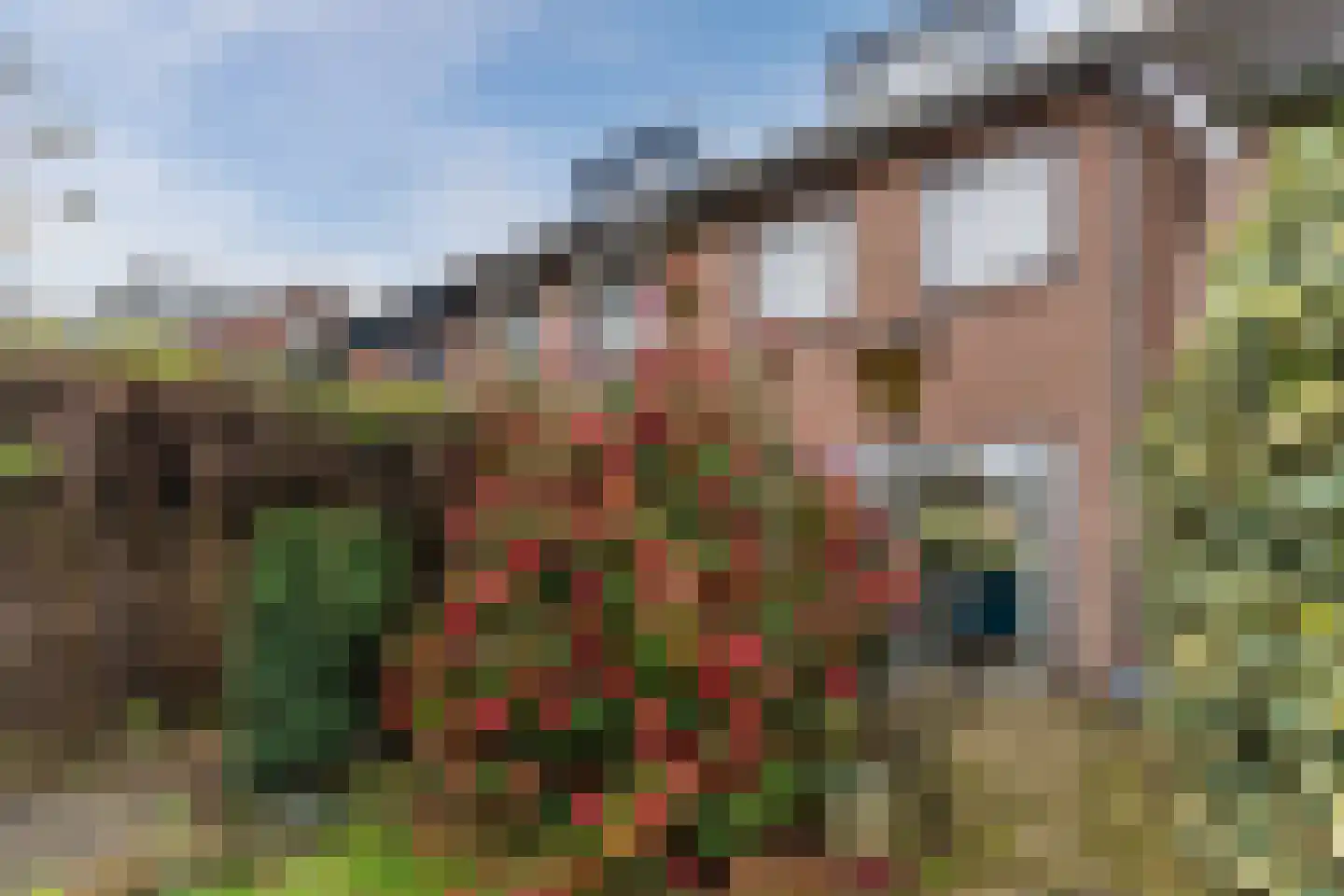 Gezellestraat 17 Gemert thumbnail 39