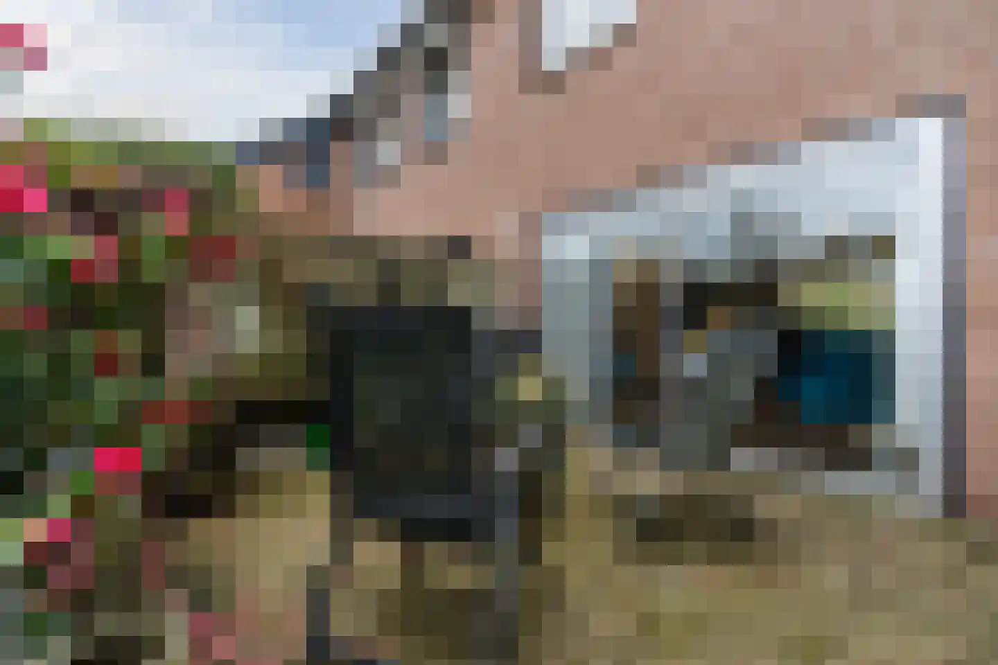 Gezellestraat 17 Gemert thumbnail 40