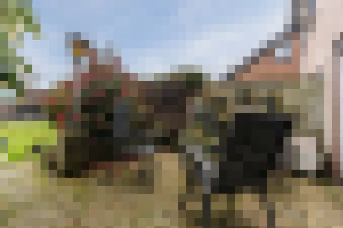 Gezellestraat 17 Gemert thumbnail 41