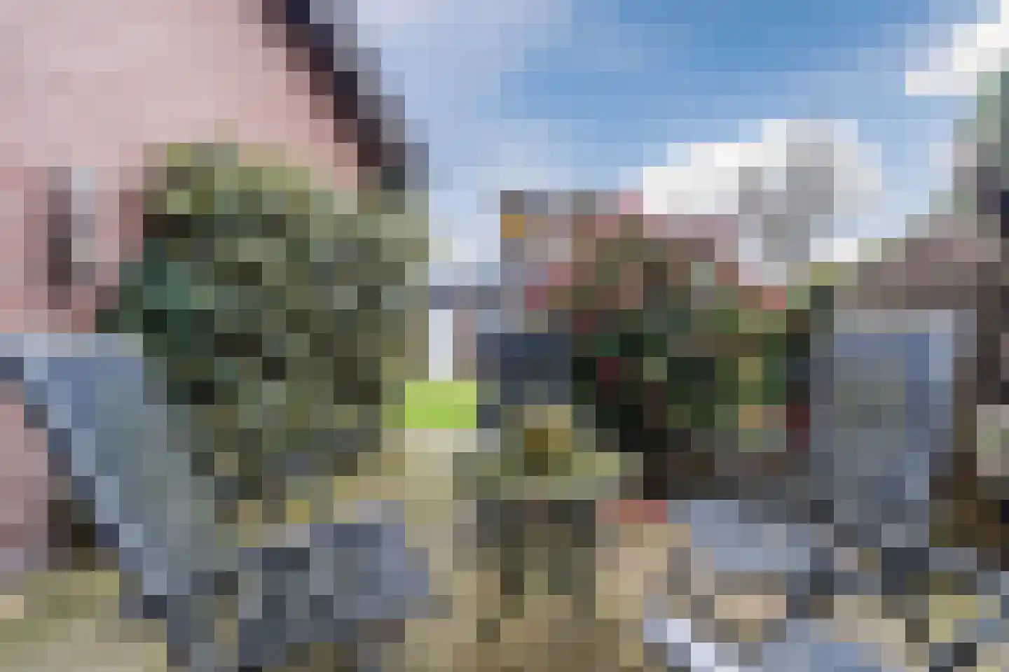 Gezellestraat 17 Gemert thumbnail 42