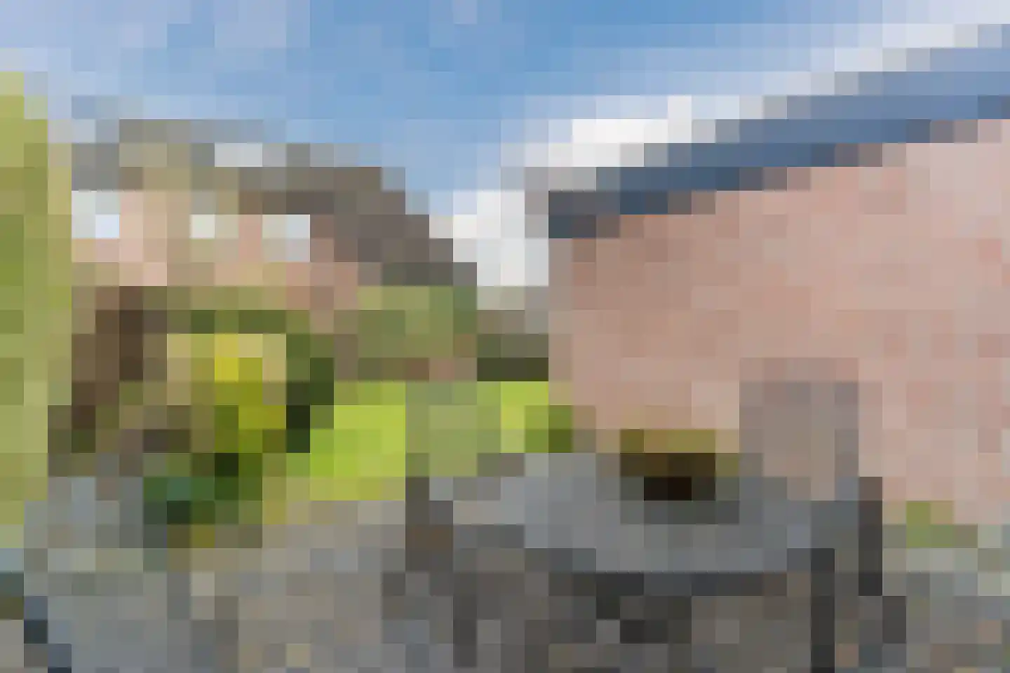 Gezellestraat 17 Gemert thumbnail 48