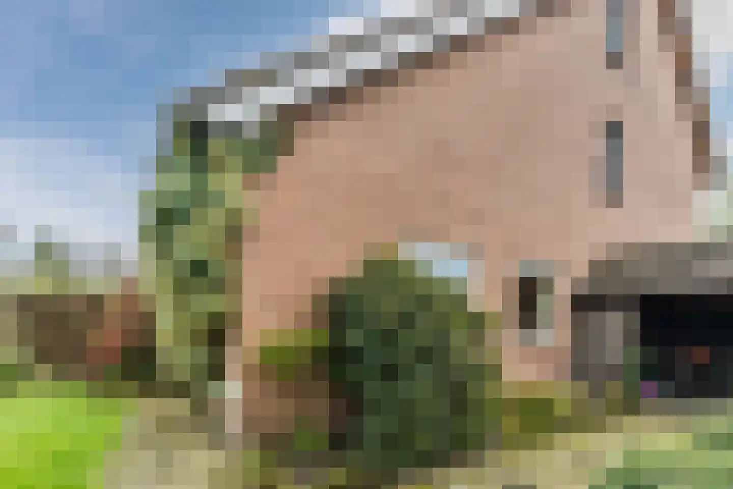 Gezellestraat 17 Gemert thumbnail 50
