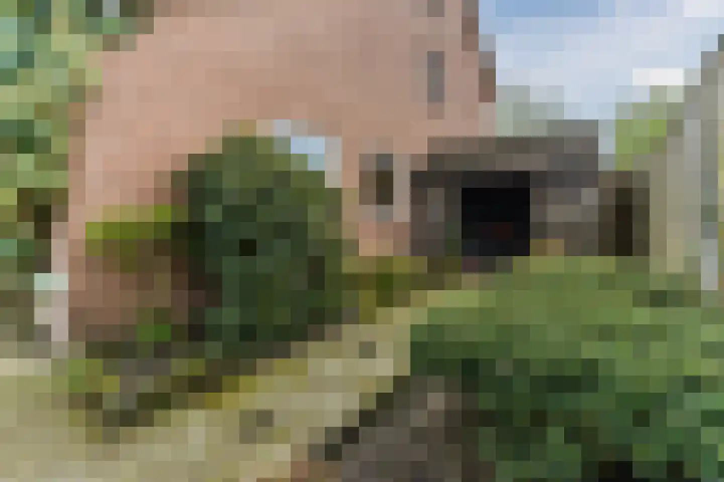 Gezellestraat 17 Gemert thumbnail 51
