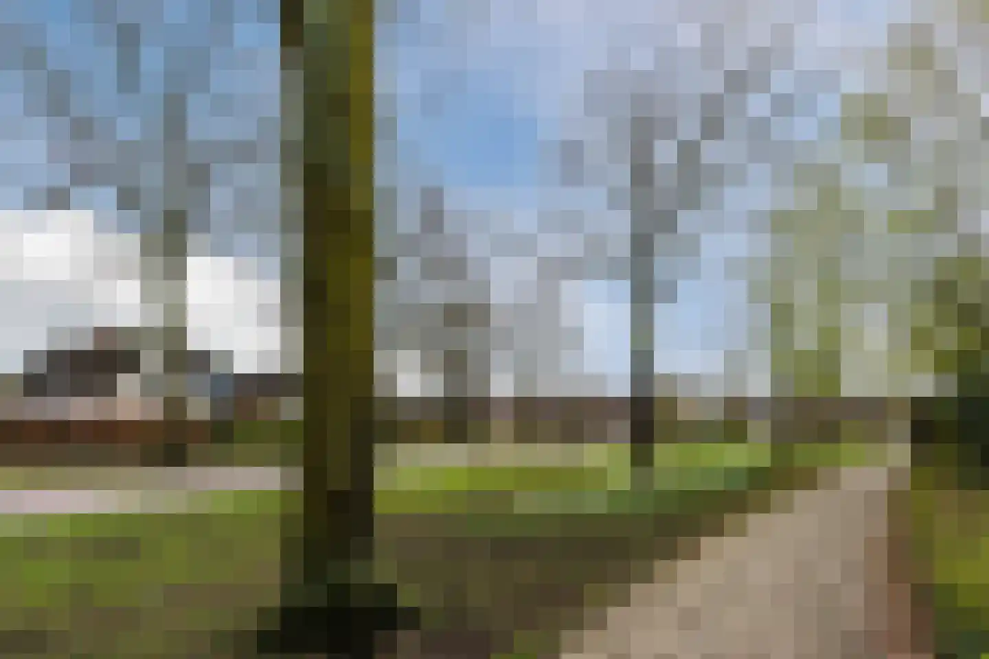 Gezellestraat 17 Gemert thumbnail 54